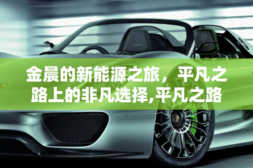 金晨的新能源之旅，平凡之路上的非凡选择,平凡之路金晨开的什么电动车，新能源之路