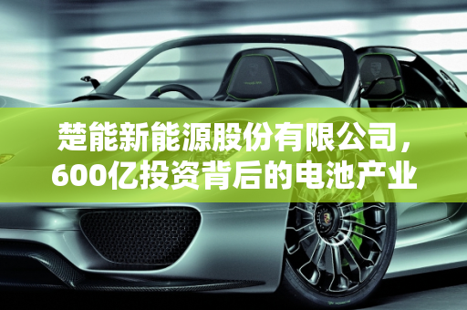 楚能新能源股份有限公司，600亿投资背后的电池产业未来,号称投资600亿生产电池的楚能新能源股份有限公司会有前途吗