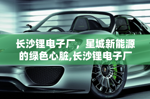 长沙锂电子厂，星城新能源的绿色心脏,长沙锂电子厂是生产什么的,星城新能源