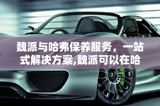 魏派与哈弗保养服务，一站式解决方案,魏派可以在哈弗店里保养吗,长城c30ev去哪保养