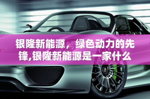 银隆新能源，绿色动力的先锋,银隆新能源是一家什么公司，新能源 银隆