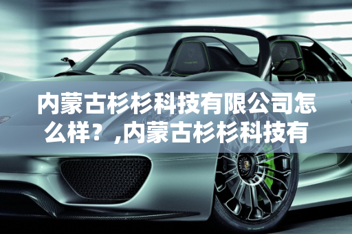 内蒙古杉杉科技有限公司怎么样？,内蒙古杉杉科技有限公司怎么样