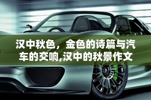 汉中秋色，金色的诗篇与汽车的交响,汉中的秋景作文结尾,汉中庞大汽车报价