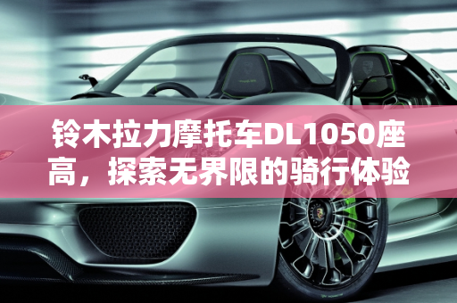 铃木拉力摩托车DL1050座高，探索无界限的骑行体验,铃木拉力摩托车dl1050座高