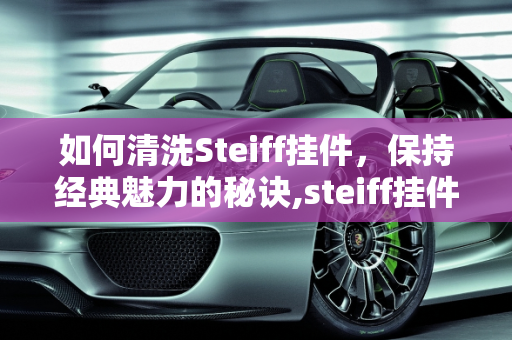如何清洗Steiff挂件，保持经典魅力的秘诀,steiff挂件如何清洗