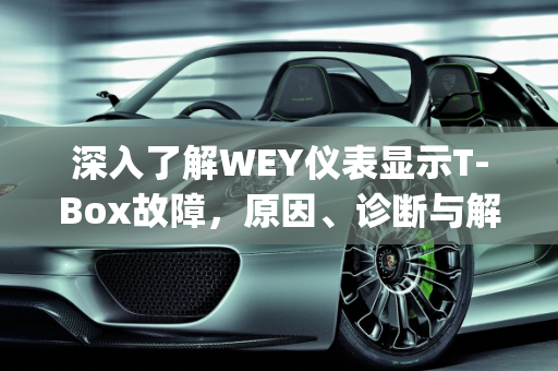 深入了解WEY仪表显示T-Box故障，原因、诊断与解决方案,wey仪表显示t-box故障是什么