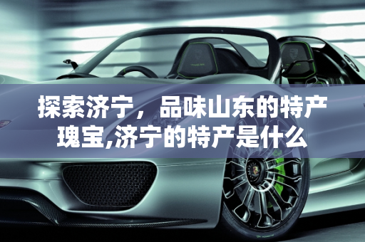 探索济宁，品味山东的特产瑰宝,济宁的特产是什么