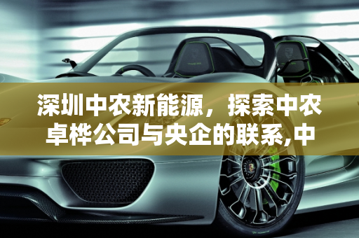 深圳中农新能源，探索中农卓桦公司与央企的联系,中农卓桦公司是央企吗，深圳中农新能源