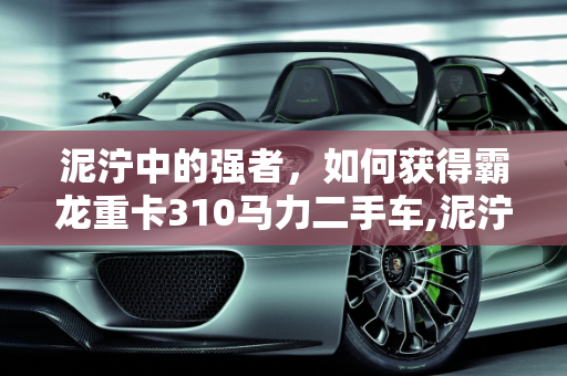 泥泞中的强者，如何获得霸龙重卡310马力二手车,泥泞奔驰怎么获得霸龙重卡，霸龙重卡310马力二手车