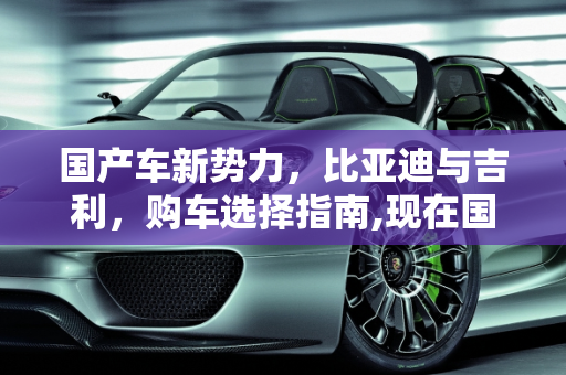国产车新势力，比亚迪与吉利，购车选择指南,现在国产车BYD和吉利买车该选哪款