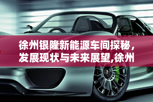 徐州银隆新能源车间探秘，发展现状与未来展望,徐州银隆新能源车间探秘，发展现状与未来展望