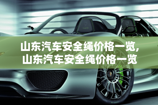 山东汽车安全绳价格一览,山东汽车安全绳价格一览