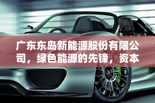 广东东岛新能源股份有限公司，绿色能源的先锋，资本市场的新力量,广东东岛新能源股份有限公司上市