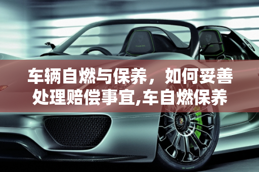 车辆自燃与保养，如何妥善处理赔偿事宜,车自燃保养被烧了怎么赔