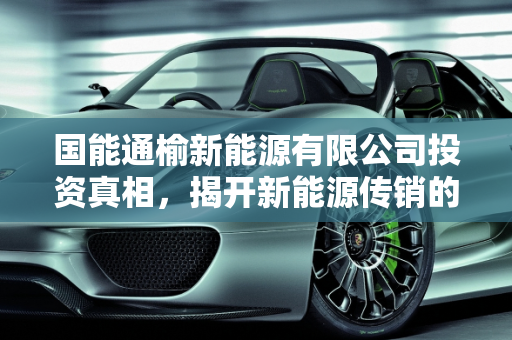 国能通榆新能源有限公司投资真相，揭开新能源传销的面纱,国能通榆新能源有限公司投资是真的吗，新能源传销