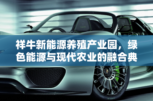 祥牛新能源养殖产业园，绿色能源与现代农业的融合典范,养殖产业园建设内容,祥牛新能源