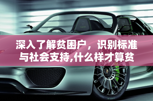 深入了解贫困户，识别标准与社会支持,什么样才算贫困户