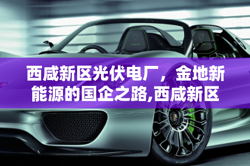 西咸新区光伏电厂，金地新能源的国企之路,西咸新区光伏电厂是不是国企，金地新能源