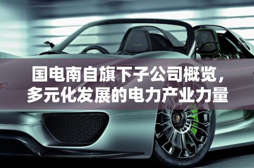 国电南自旗下子公司概览，多元化发展的电力产业力量,国电南自旗下子公司？都有什么