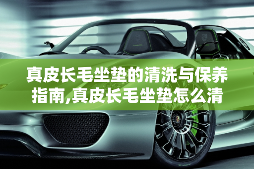 真皮长毛坐垫的清洗与保养指南,真皮长毛坐垫怎么清洗和保养