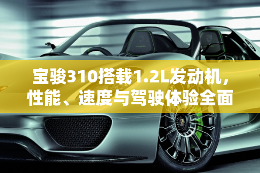 宝骏310搭载1.2L发动机，性能、速度与驾驶体验全面解析,配1.2L发动机的宝骏310怎么样，时速是多少