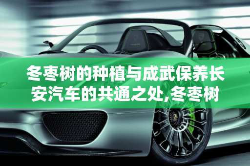 冬枣树的种植与成武保养长安汽车的共通之处,冬枣树每年都要种植吗,成武保养长安汽车