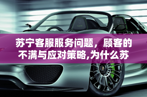 苏宁客服服务问题，顾客的不满与应对策略,为什么苏宁的客服一直不理顾客、不解决问题？该怎么办