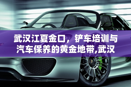 武汉江夏金口，铲车培训与汽车保养的黄金地带,武汉江夏金口附近有培训铲车班，金口镇汽车保养厂