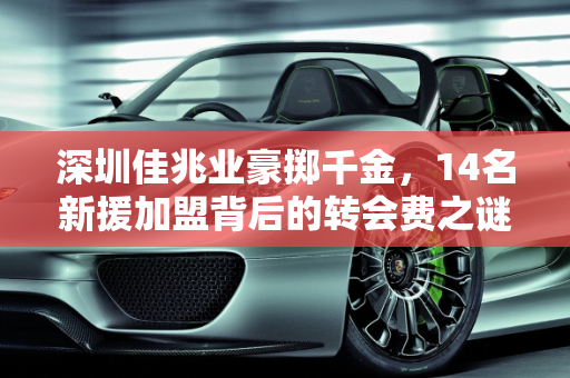 深圳佳兆业豪掷千金，14名新援加盟背后的转会费之谜,土豪！深圳佳兆业一口气签了14名球员，这要花多少转会费