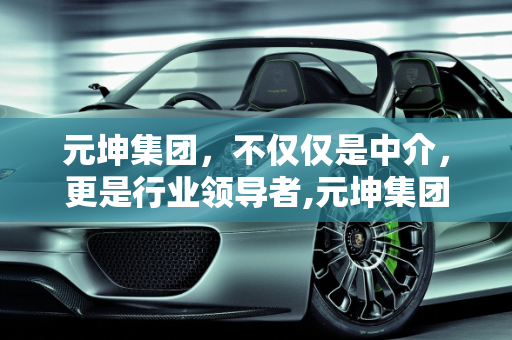 元坤集团，不仅仅是中介，更是行业领导者,元坤集团是中介吗