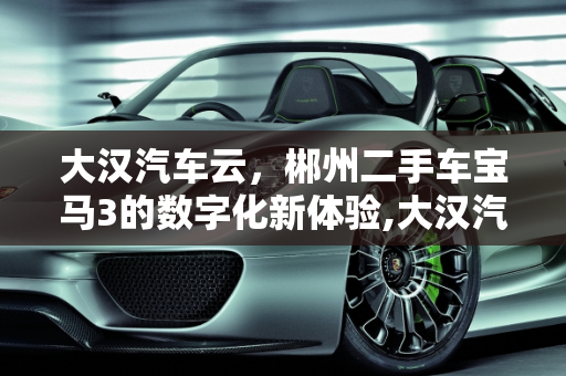 大汉汽车云，郴州二手车宝马3的数字化新体验,大汉汽车云是什么，郴州二手车宝马3