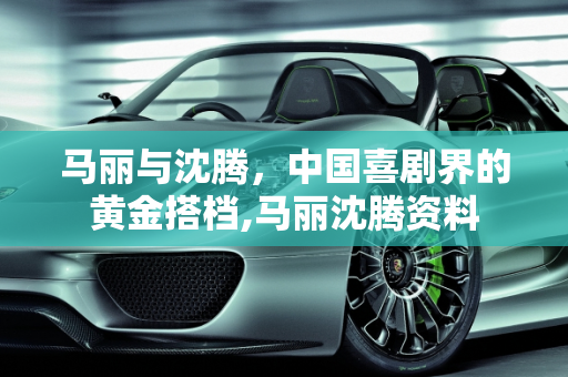 马丽与沈腾，中国喜剧界的黄金搭档,马丽沈腾资料