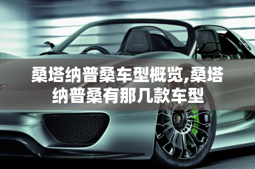 桑塔纳普桑车型概览,桑塔纳普桑有那几款车型