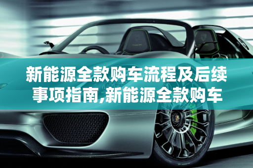 新能源全款购车流程及后续事项指南,新能源全款购车流程，新能源全款后