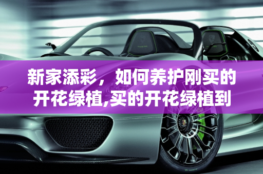 新家添彩，如何养护刚买的开花绿植,买的开花绿植到家之后怎样养护