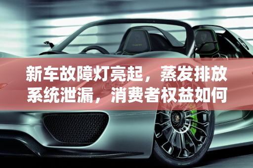新车故障灯亮起，蒸发排放系统泄漏，消费者权益如何保障？,新车不到一个月故障灯亮，电脑检测是蒸发排放系统泄漏，可以要求换车及赔偿吗,汽车销售过程中发生故障