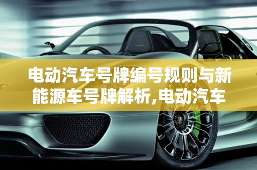 电动汽车号牌编号规则与新能源车号牌解析,电动汽车号牌编号规则，新能源车号牌