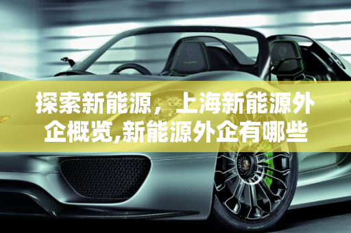 探索新能源，上海新能源外企概览,新能源外企有哪些，上海新能源企业