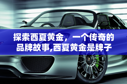 探索西夏黄金，一个传奇的品牌故事,西夏黄金是牌子吗