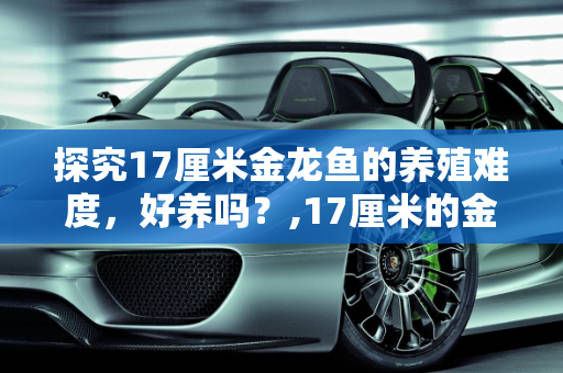 探究17厘米金龙鱼的养殖难度，好养吗？,17厘米的金龙好养吗