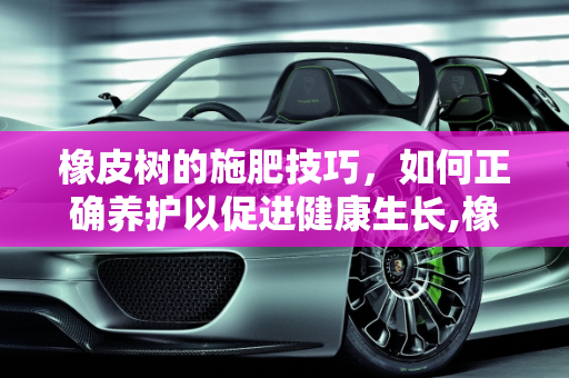 橡皮树的施肥技巧，如何正确养护以促进健康生长,橡皮树怎么施肥