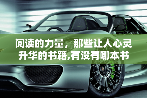 阅读的力量，那些让人心灵升华的书籍,有没有哪本书，阅读后感觉整个人都升华了？求分享
