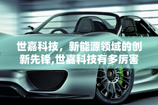 世嘉科技，新能源领域的创新先锋,世嘉科技有多厉害，世嘉新能源