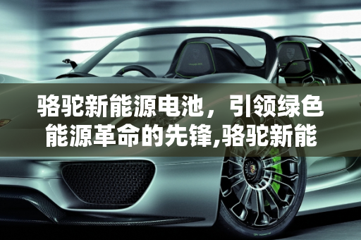 骆驼新能源电池，引领绿色能源革命的先锋,骆驼新能源电池怎么样,骆驼新能源二期