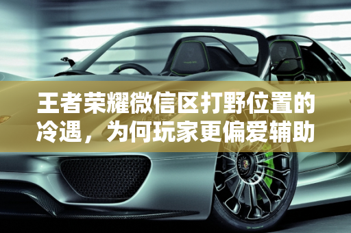 王者荣耀微信区打野位置的冷遇，为何玩家更偏爱辅助？,《王者荣耀》微信区没几个人愿意打野，宁愿玩辅助也不愿意打野，这到底是为什么