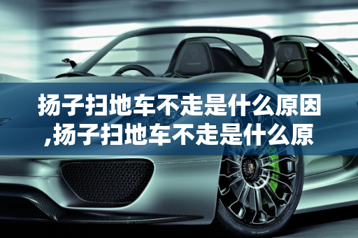 扬子扫地车不走是什么原因,扬子扫地车不走是什么原因